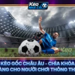 Kèo Gốc Châu Âu - Chìa Khóa Vàng Cho Người Chơi Thông Thái